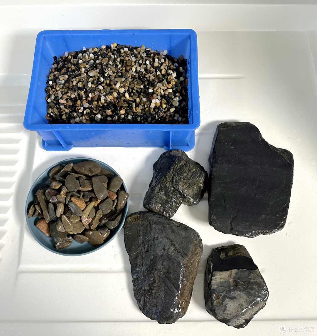 DeepSeek加持，当贝智能鱼缸1Ultra，让新手也可以轻松养好鱼