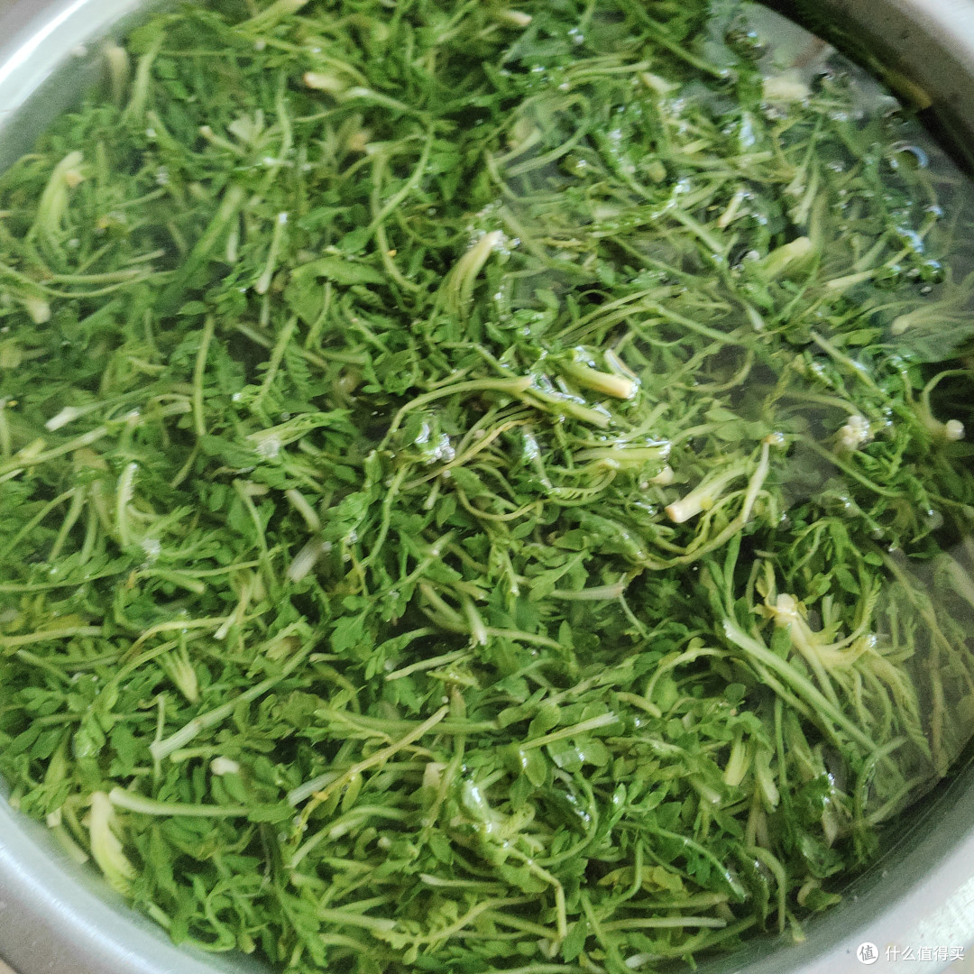 你还记得这些老味道吗——春季野菜好物大赏!