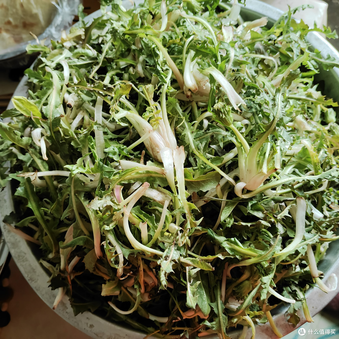 你还记得这些老味道吗——春季野菜好物大赏!
