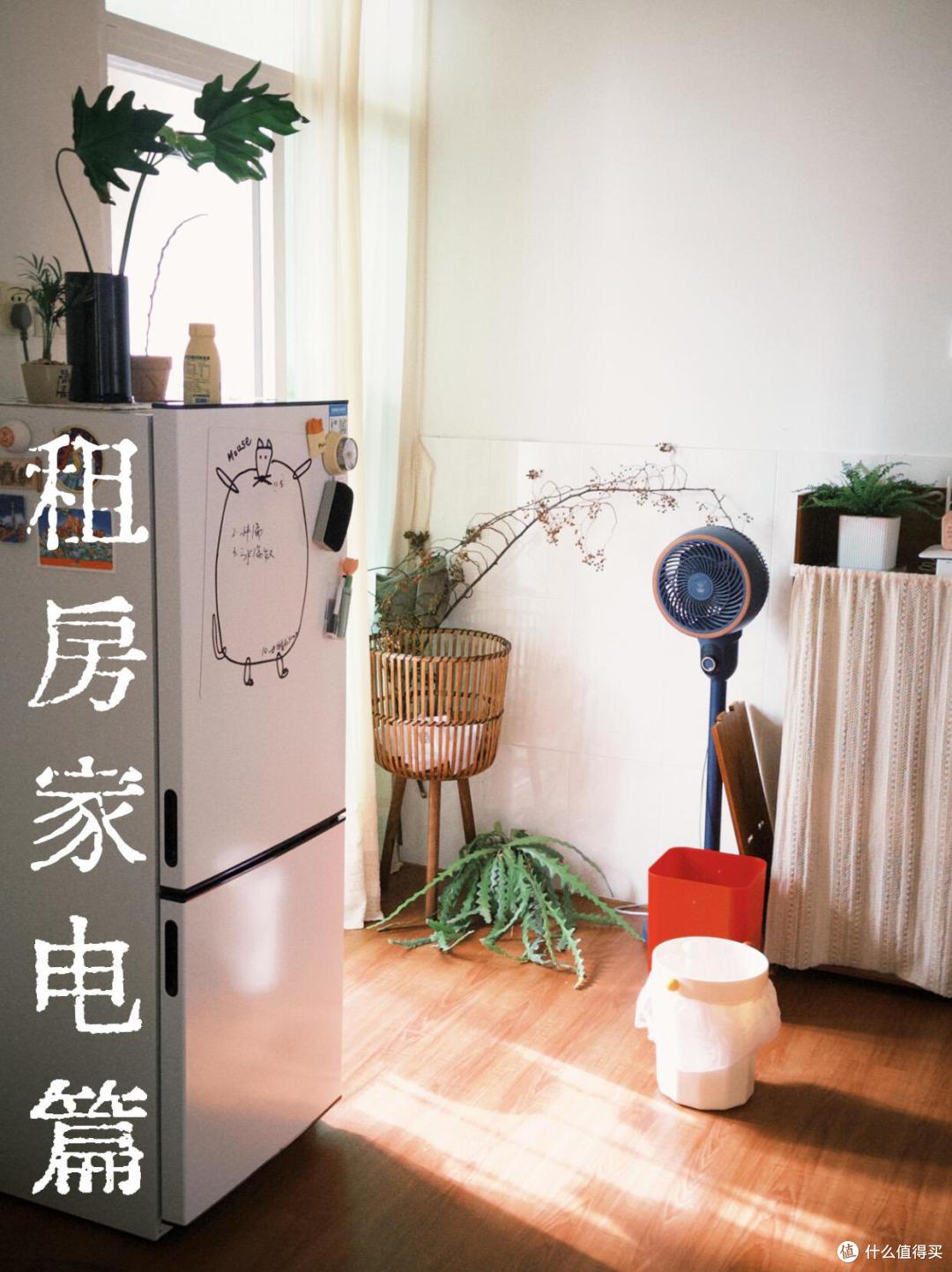 年轻人,别把出租屋当自己家,能凑合就凑合