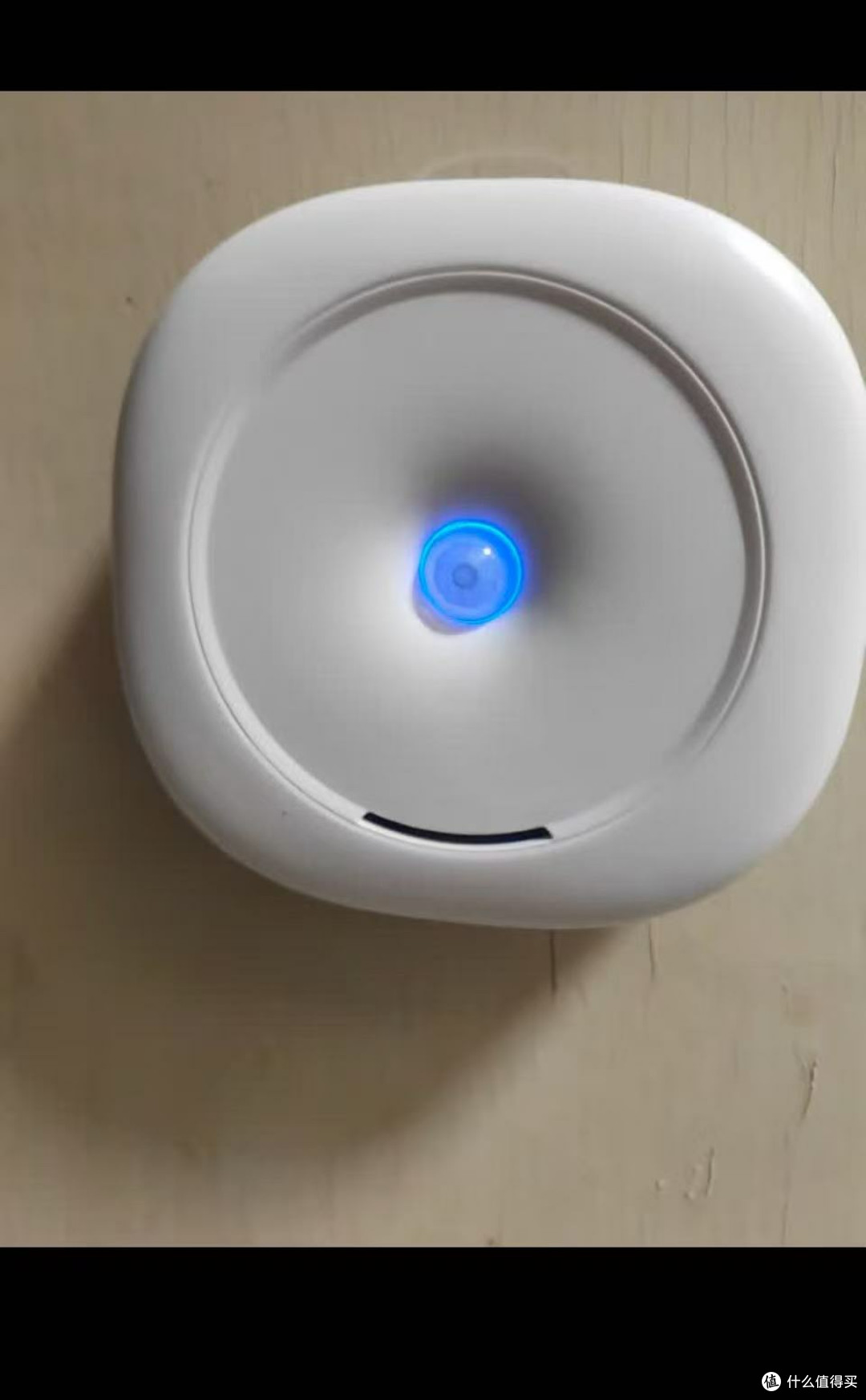 养宠家庭福音!这个除味器一开,连猫都觉得“空气清新了”🍃