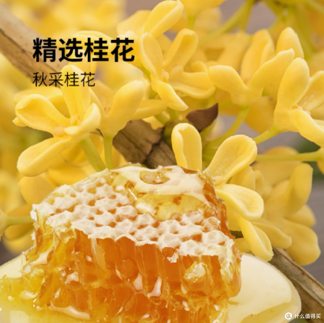 花田巷子桂花米酿,一口爱上西安的理由🌼
