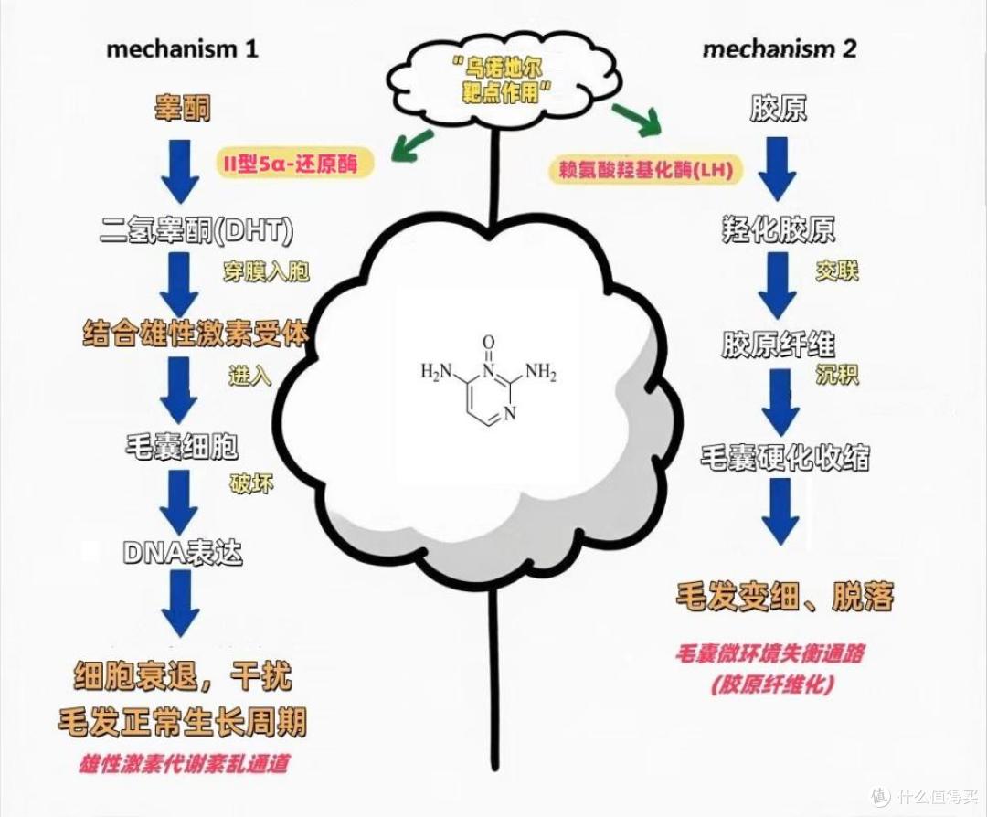 颜值时代,发量即正义!你的“氛围感”就差一瓶蔓迪防脱洗发水