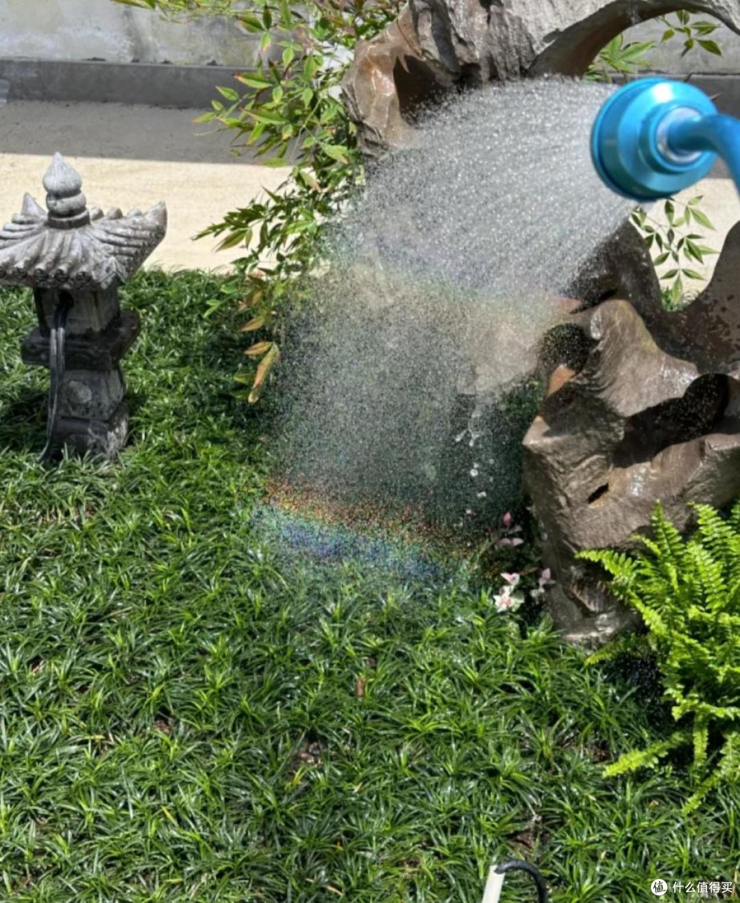 这7种花最喜欢“喝水”,天天浇水是好事,越浇越有好处!