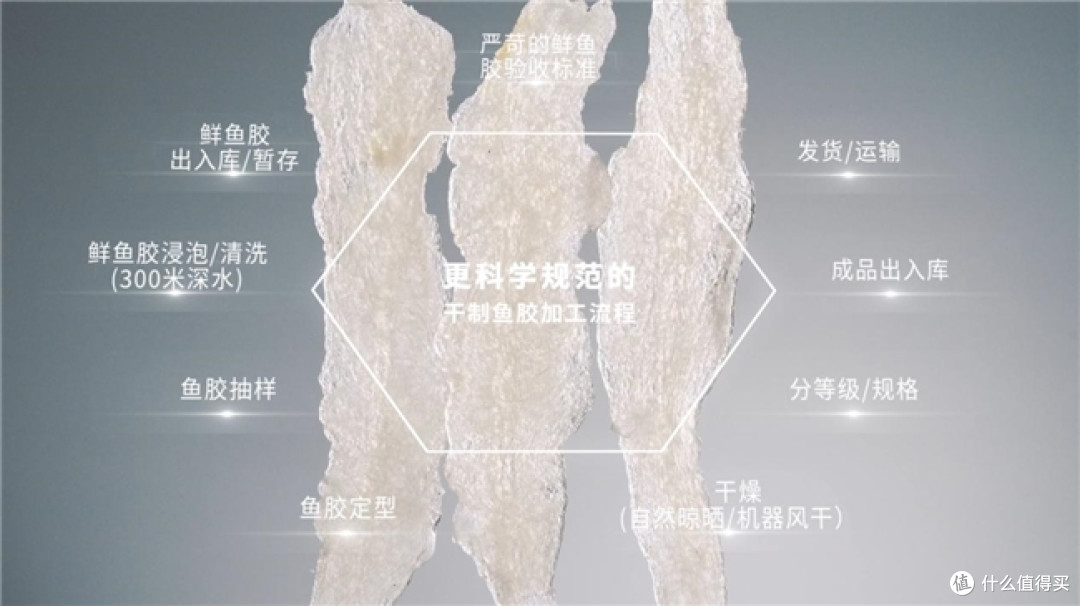 葛兰瑞克,花胶滋补品牌的中央厨房