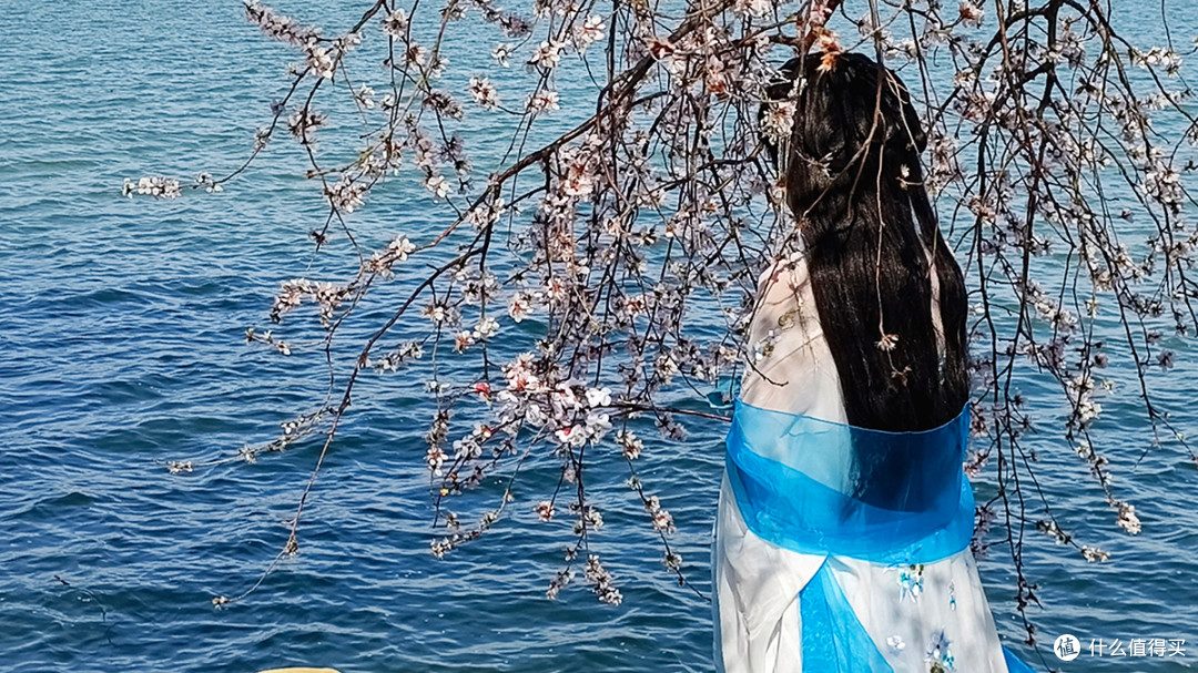 出游随拍：四月逛京城，一起去看娇艳的花儿