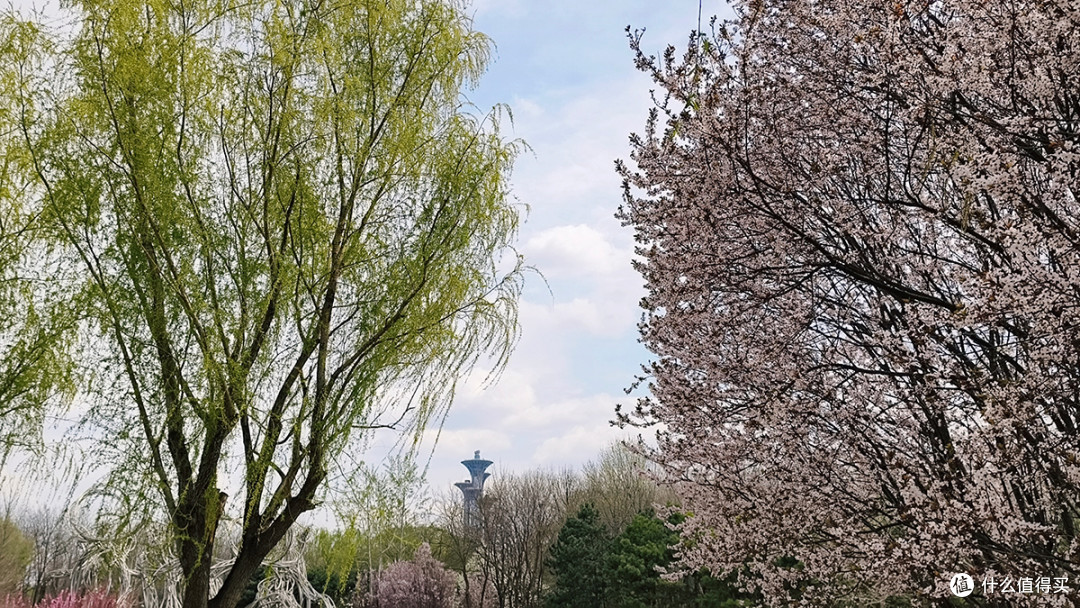 出游随拍：四月逛京城，一起去看娇艳的花儿
