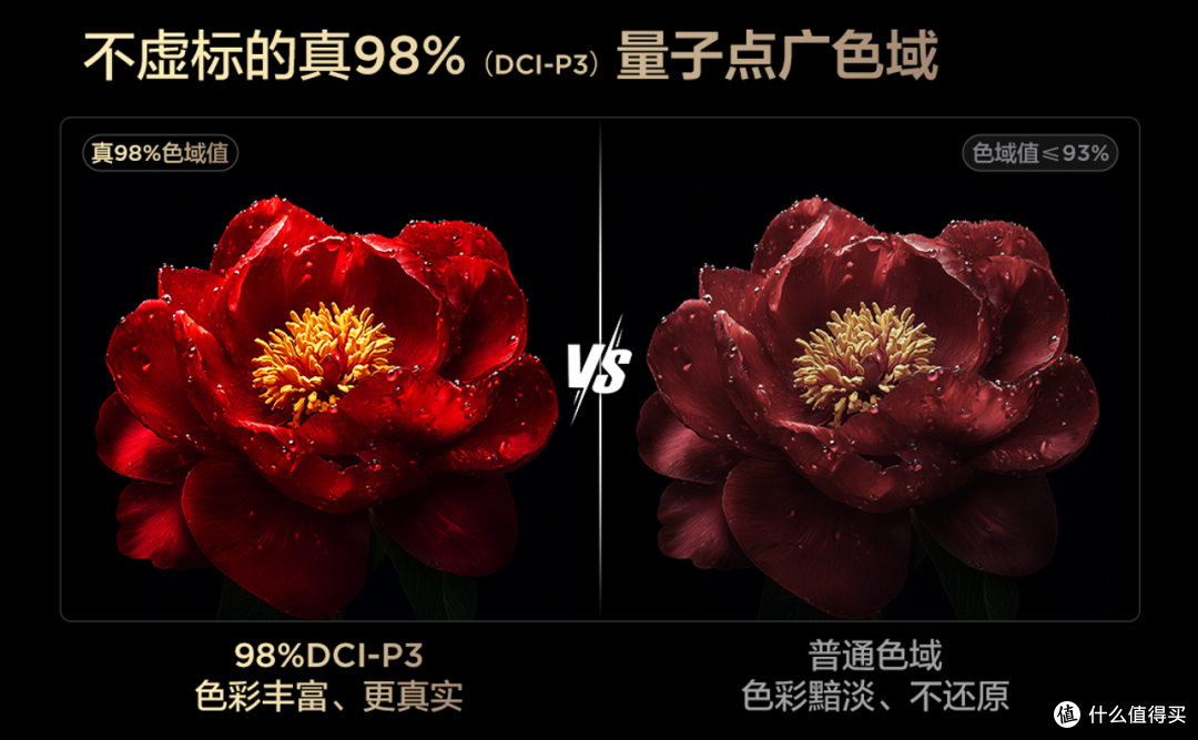 独居人群品质感生活好物推荐,TCL Q9L和T7L系列带来全新视听体验