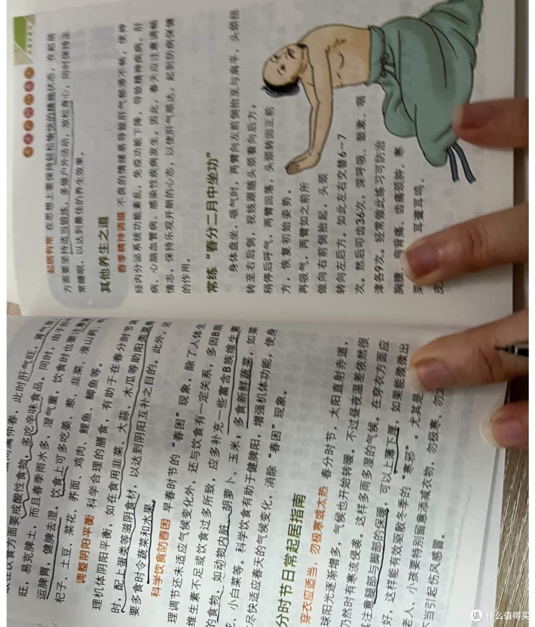 把养生融入到生活的每一个节气里