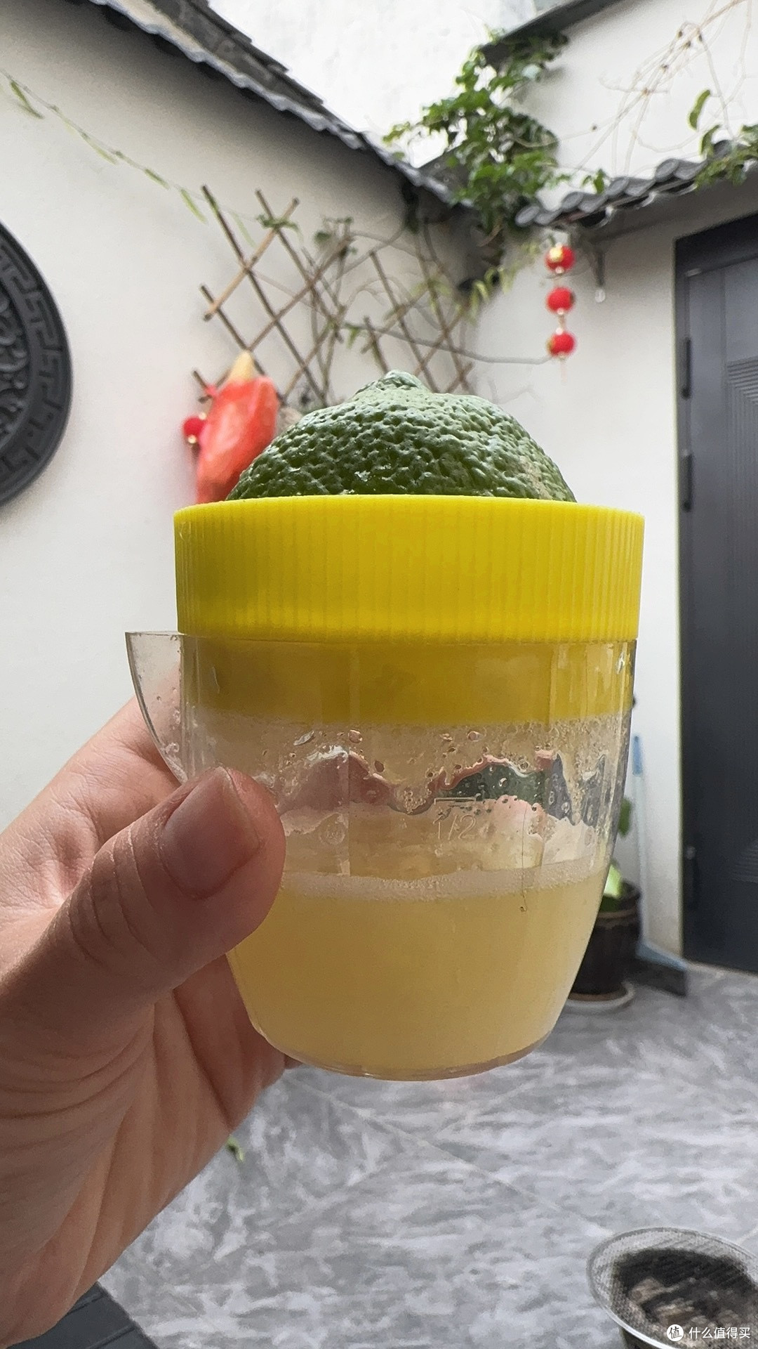 酸爽来袭!春天必备的鲜榨柠檬汁,点燃你的夏日期待!