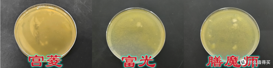 深度测评PK富光、宫菱、膳魔师保温杯哪个牌子好?如何选?