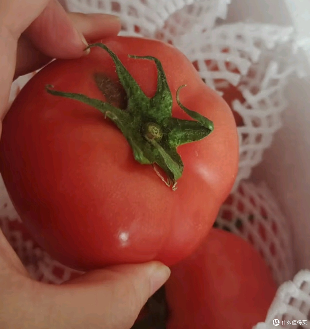 京鲜生山东普罗旺斯番茄:源头直发的爆品之选🍅🚚