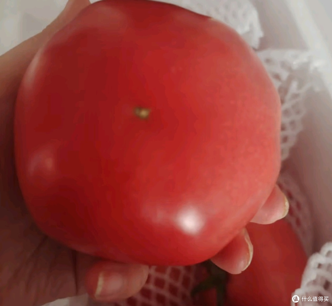 京鲜生山东普罗旺斯番茄:源头直发的爆品之选🍅🚚