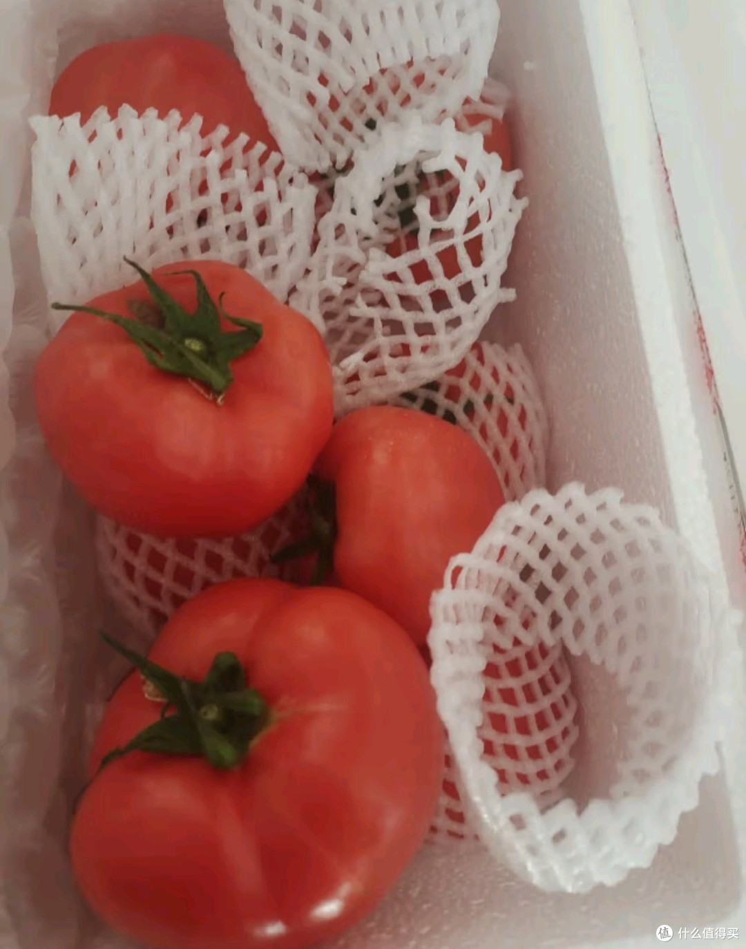 京鲜生山东普罗旺斯番茄:源头直发的爆品之选🍅🚚