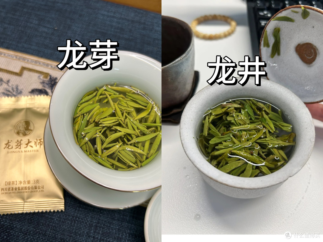 西湖龙井和龙井茶的区别在哪?龙井和龙芽的区别？