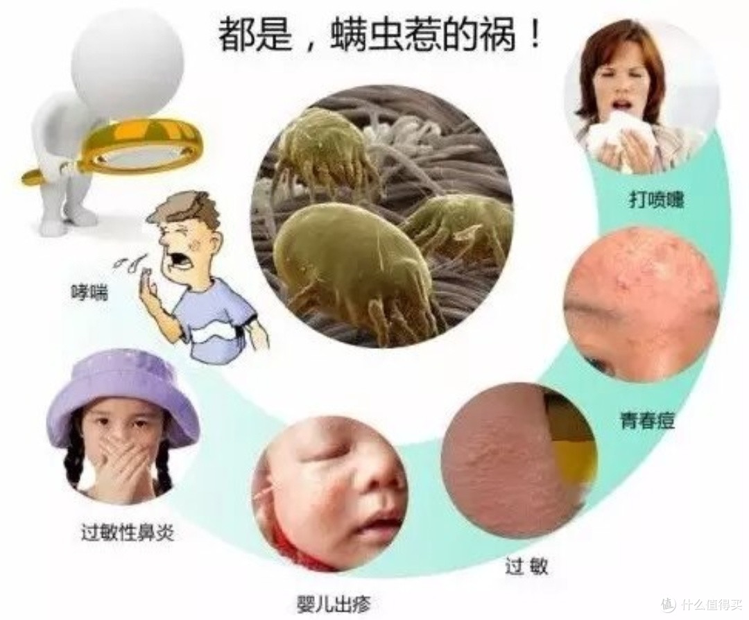 除螨仪有必要入手吗?苏泊尔双杯大吸力除螨仪使用体验分享!