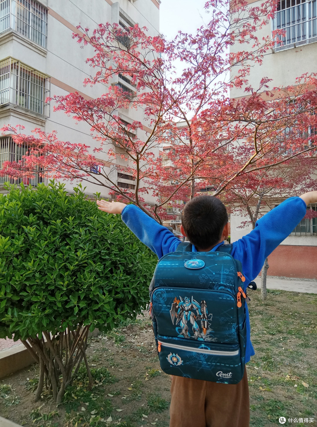 Gmt for kids书包为何成为新一代父母的省心神器?