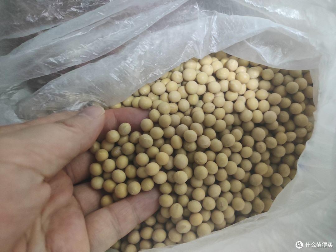 清明养生豆浆：六味食材打造春日元气早餐