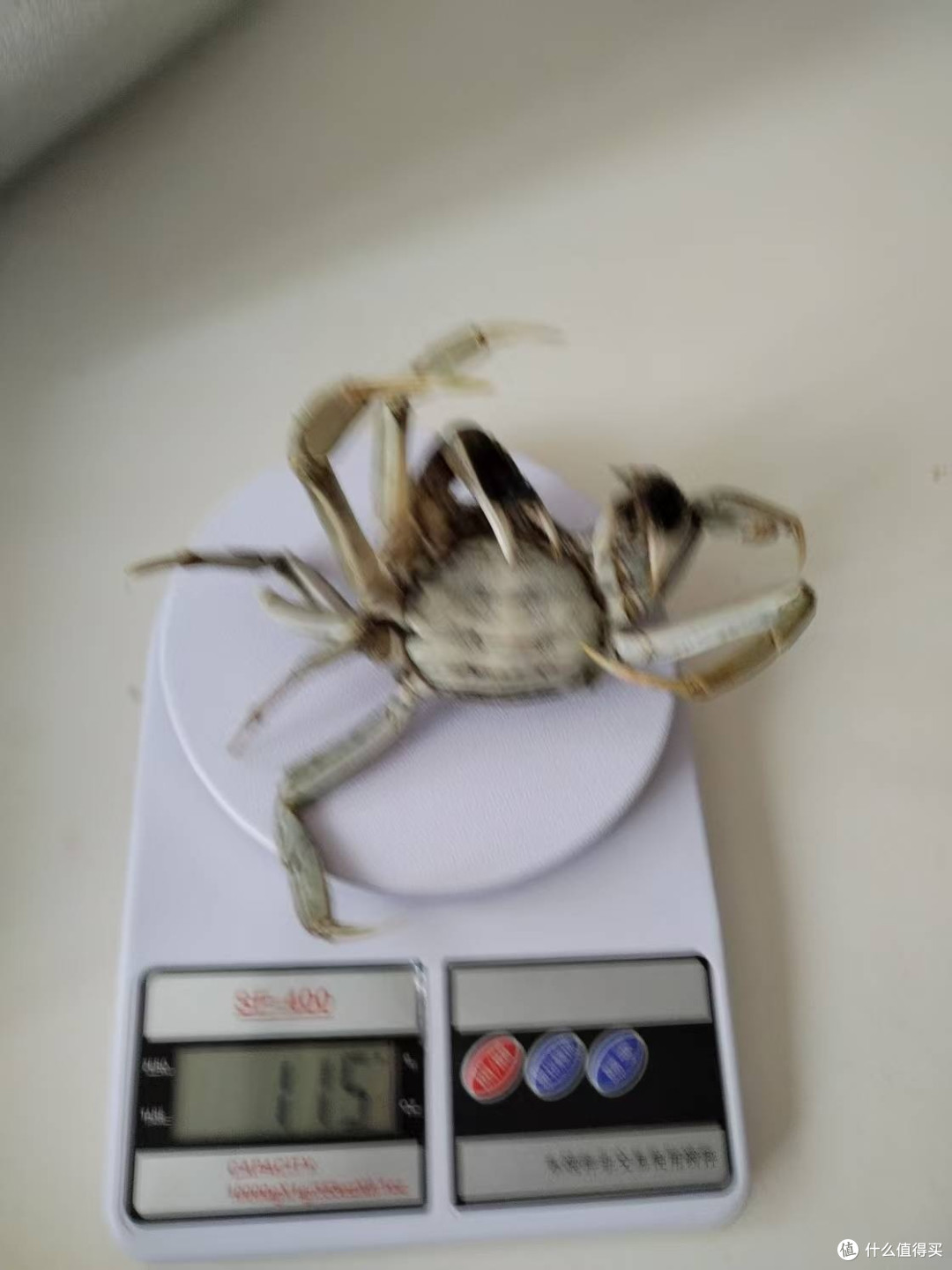 螃蟹缺秤赔付是这么算的吗？