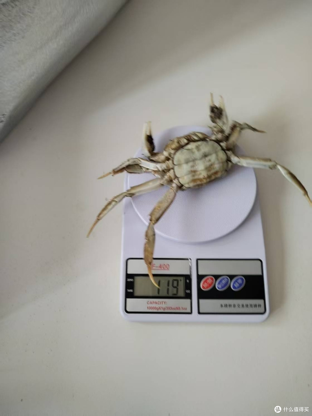 螃蟹缺秤赔付是这么算的吗？