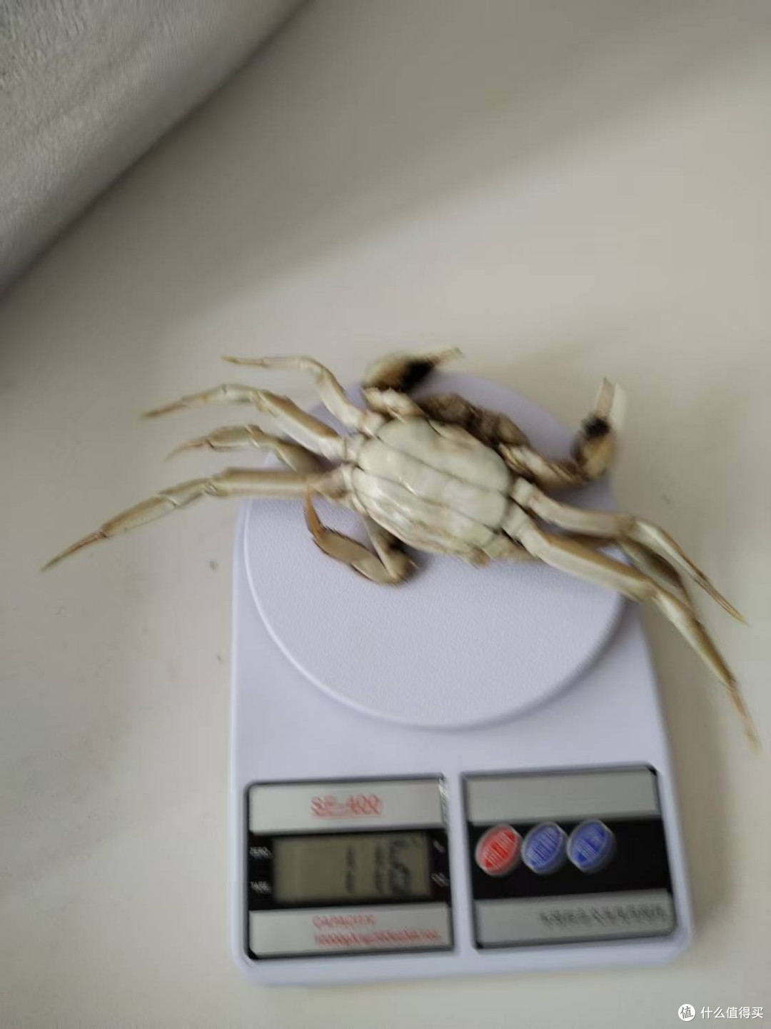 螃蟹缺秤赔付是这么算的吗？