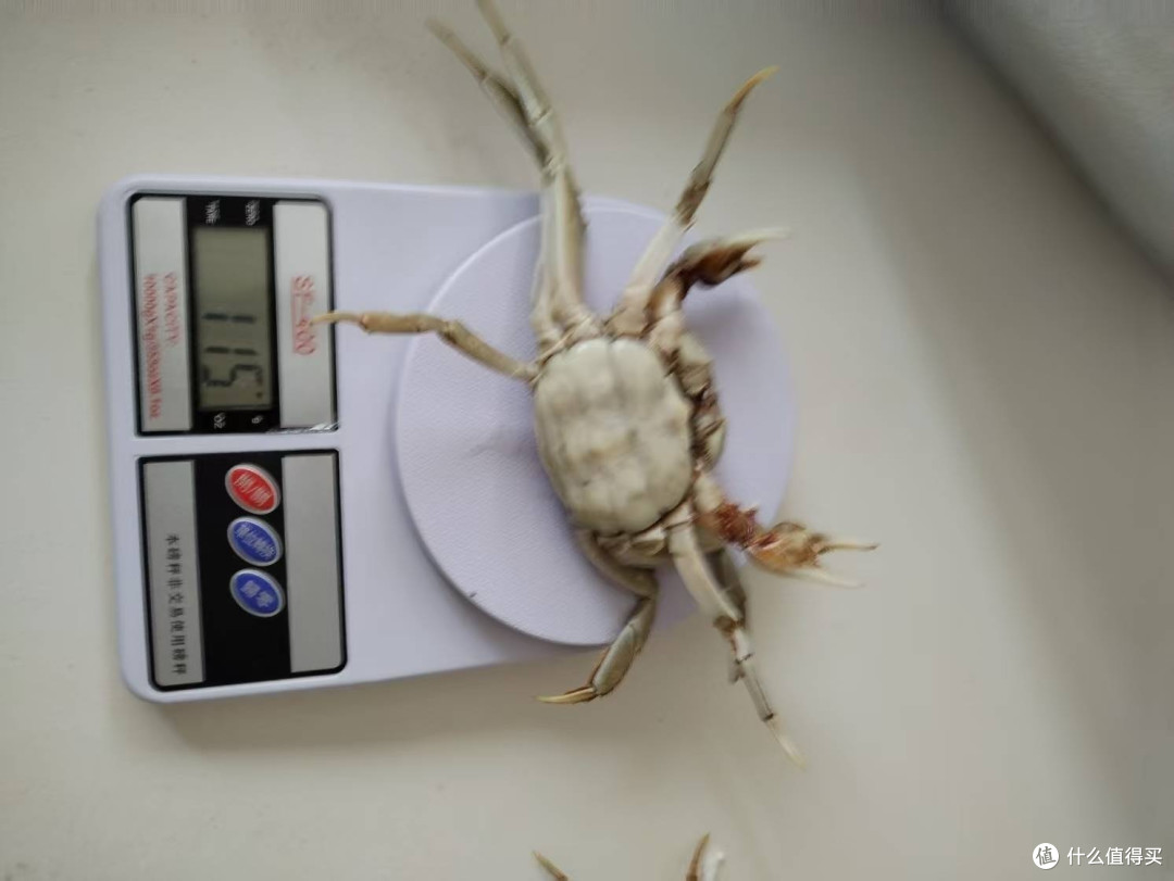 螃蟹缺秤赔付是这么算的吗？