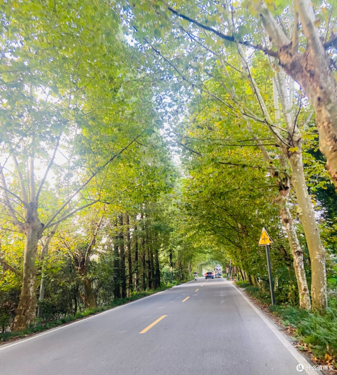 风景在路上,掌握好驾驶技巧和车辆维护自驾更无忧
