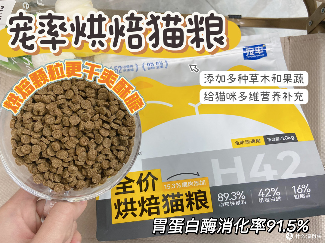 2025年性价比高的猫粮推荐，十大好口碑的猫粮品牌