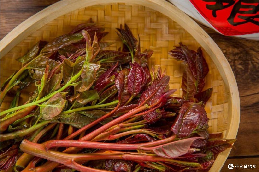 买香椿时,要“红叶”还是“绿叶”?菜农:差别挺大,别买错了!