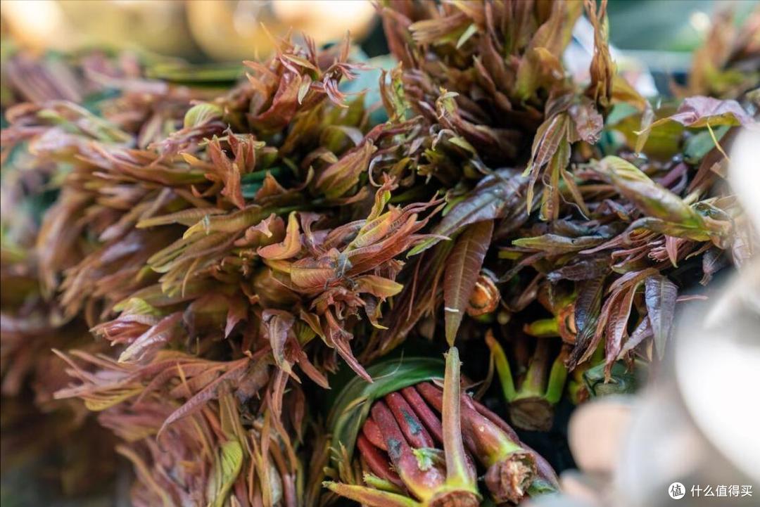 买香椿时,要“红叶”还是“绿叶”?菜农:差别挺大,别买错了!