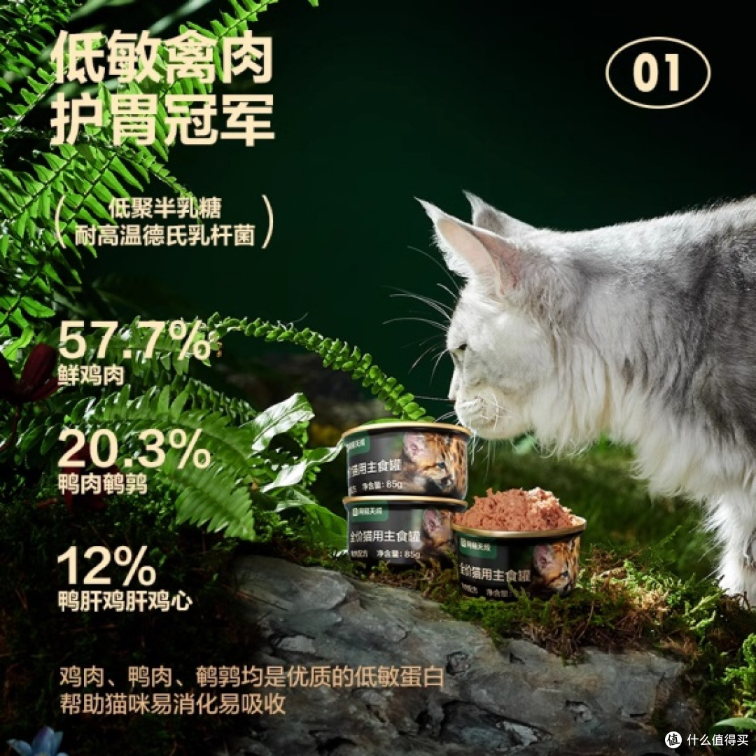 十大最好主食罐头排行榜前十名有哪些 网易严选主食罐头排名第几