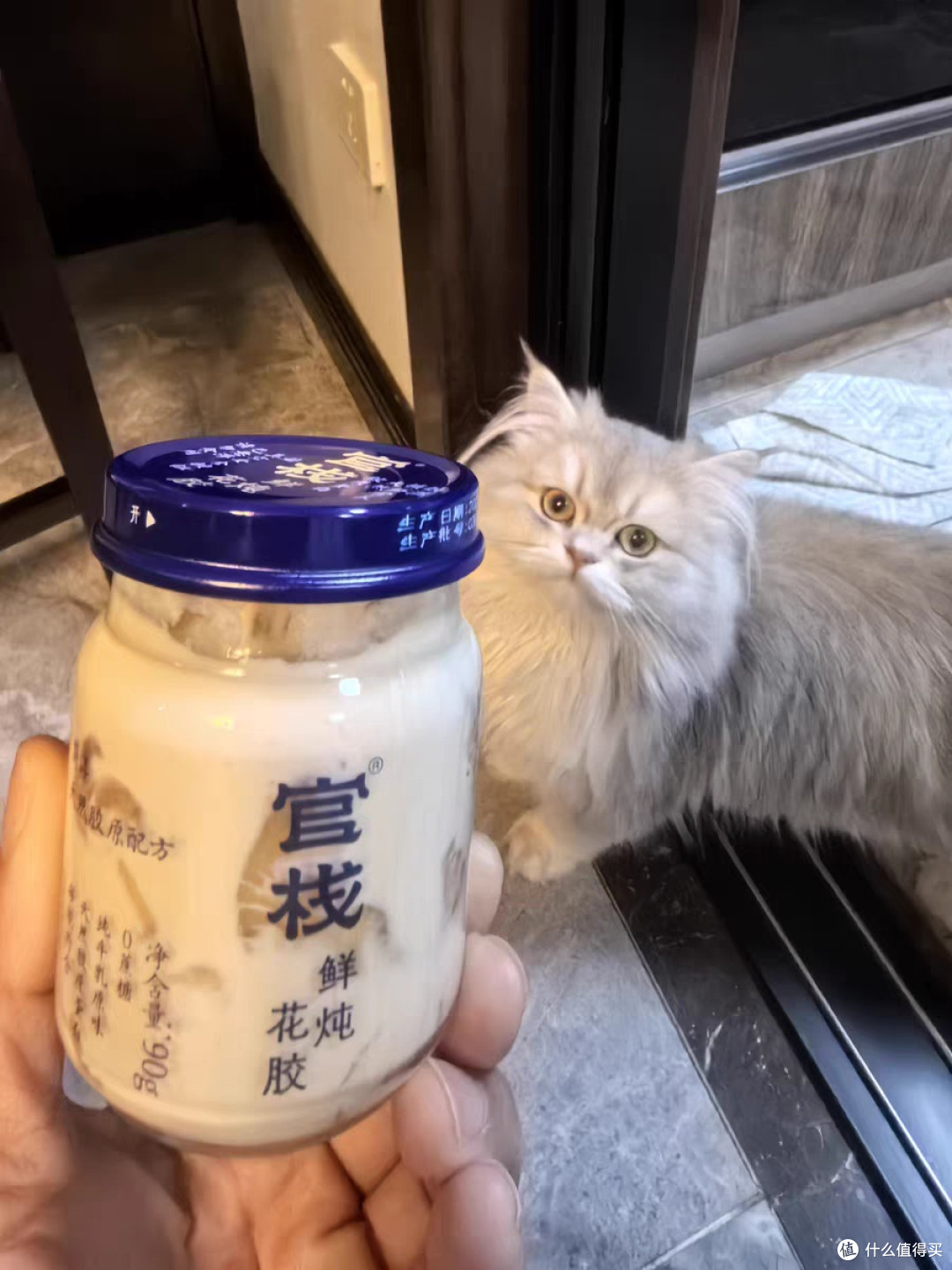 养生新宠官栈即食鱼胶，一口就爱了！
