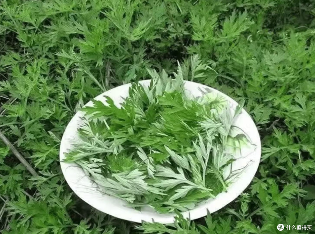 艾糍是客家人独特的青团
