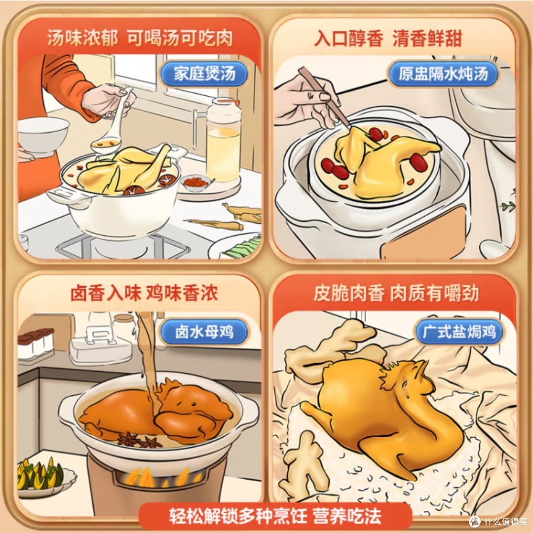 富硒老母鸡:500天散养品质