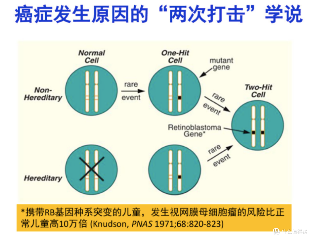 为什么要做基因检测？