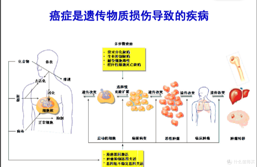 为什么要做基因检测？