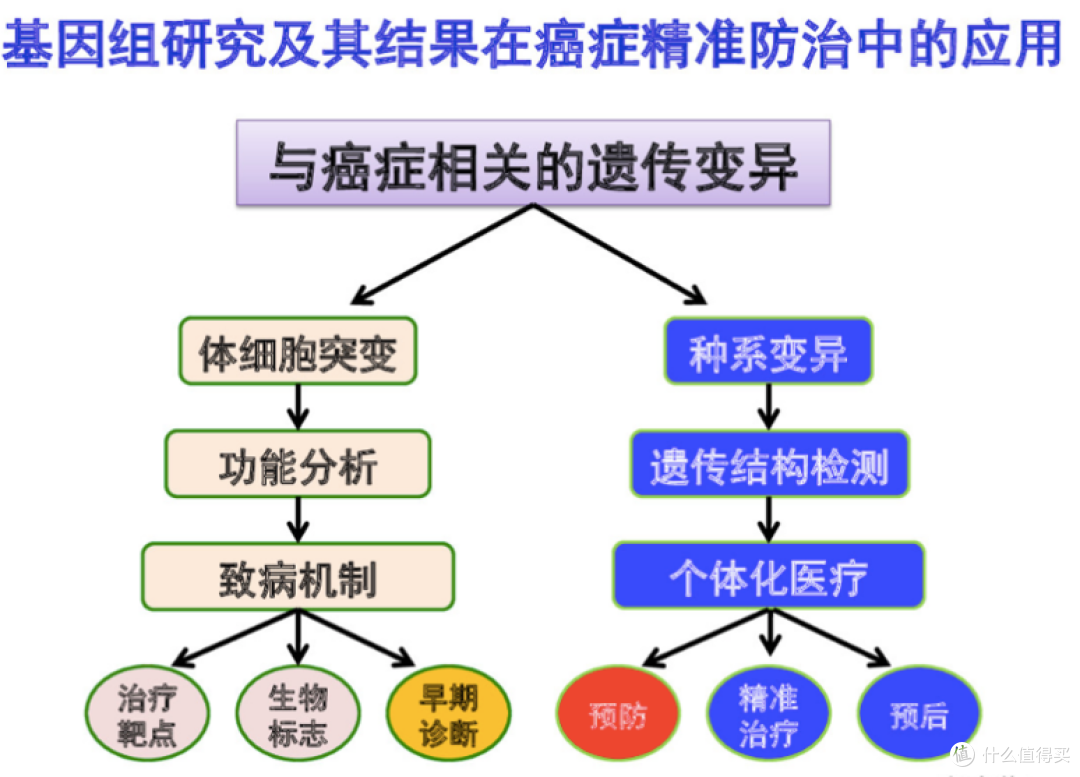 为什么要做基因检测？