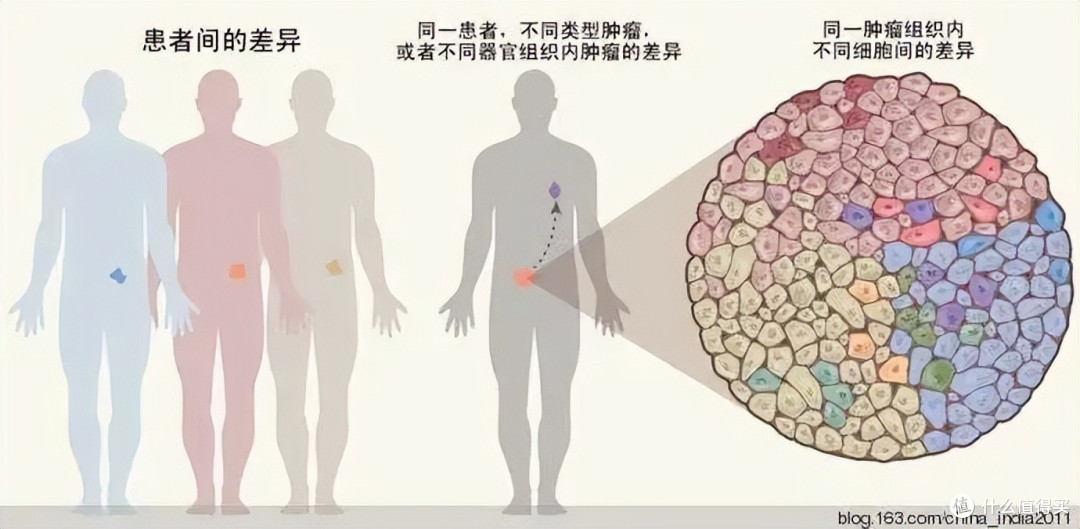 为什么要做基因检测？