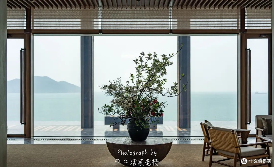 这家阿丽拉,可能是大湾区最好的度假酒店