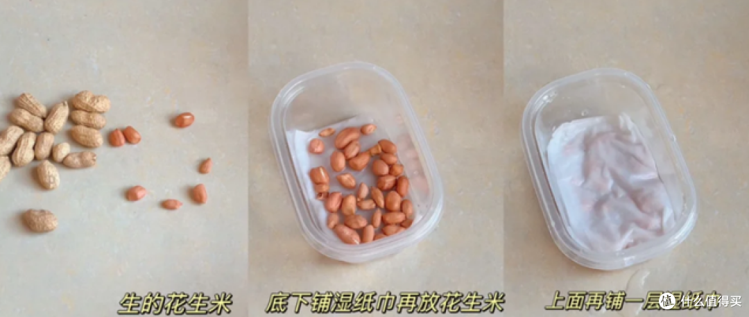 发芽的花生丢水里,12天养成绿色小盆栽,不花钱,却好看!