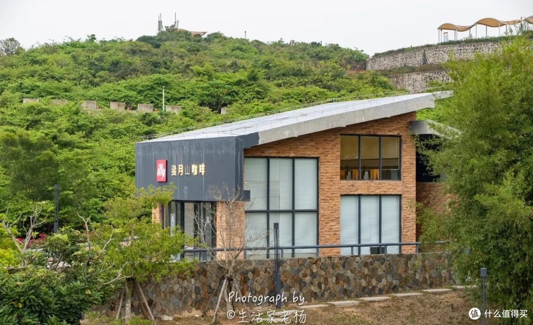 这家阿丽拉,可能是大湾区最好的度假酒店