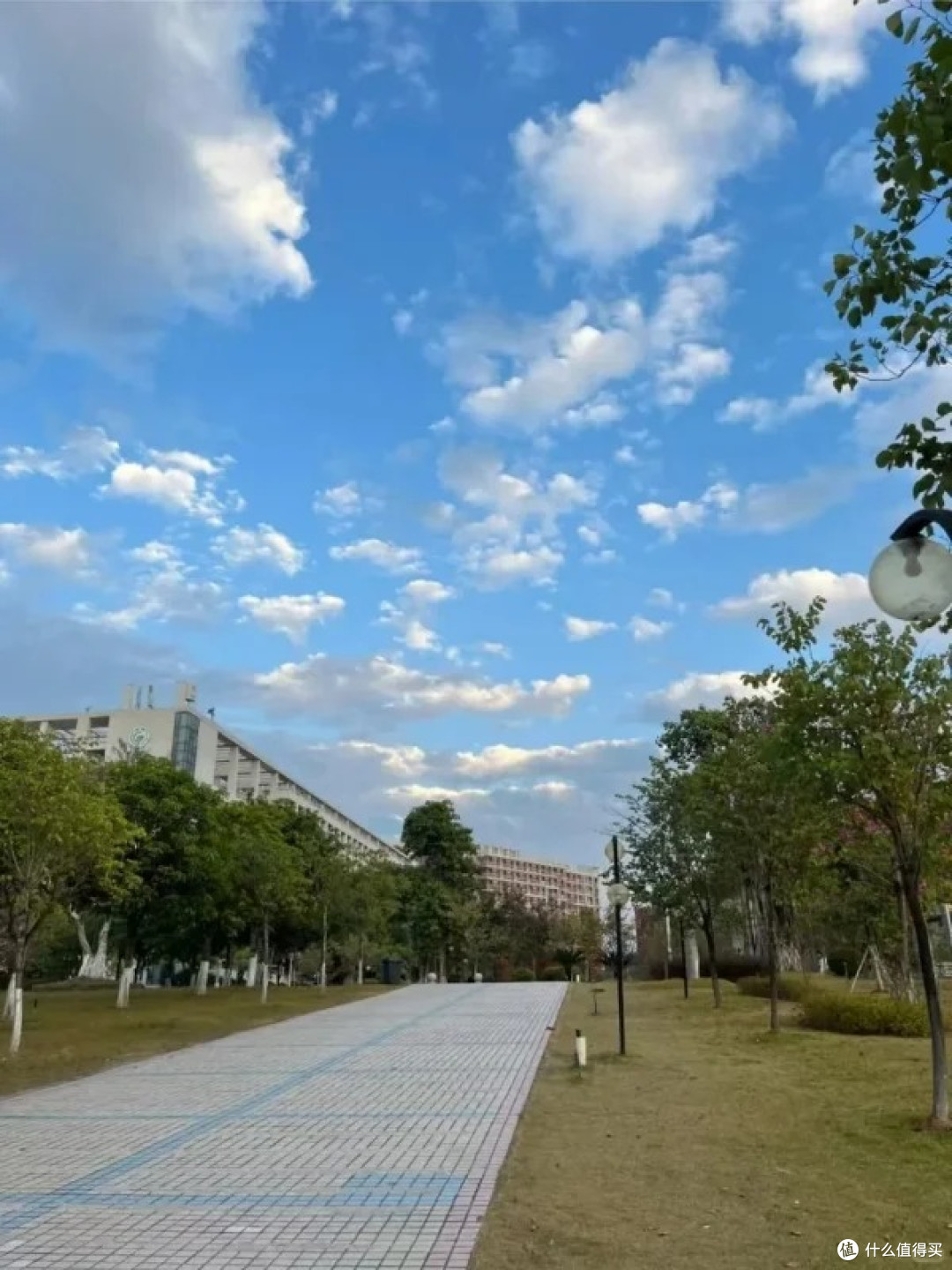 陶文书高校---双非上岸大专辅导员之后，真的很爽！