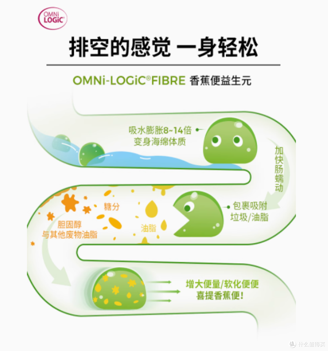 肠道的贴心呵护者 ——Omni BioTic 益生元冲剂
