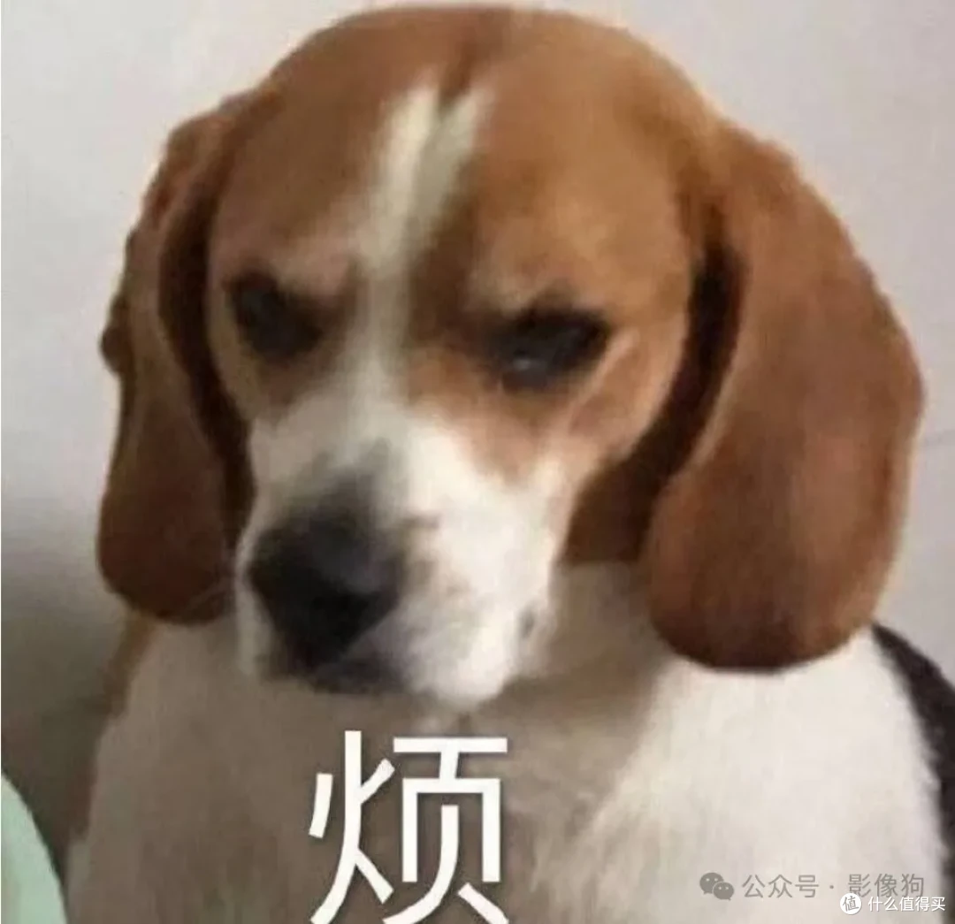 无线麦克风还能长这样!森海塞尔Profile Wireless无线麦克风系统
