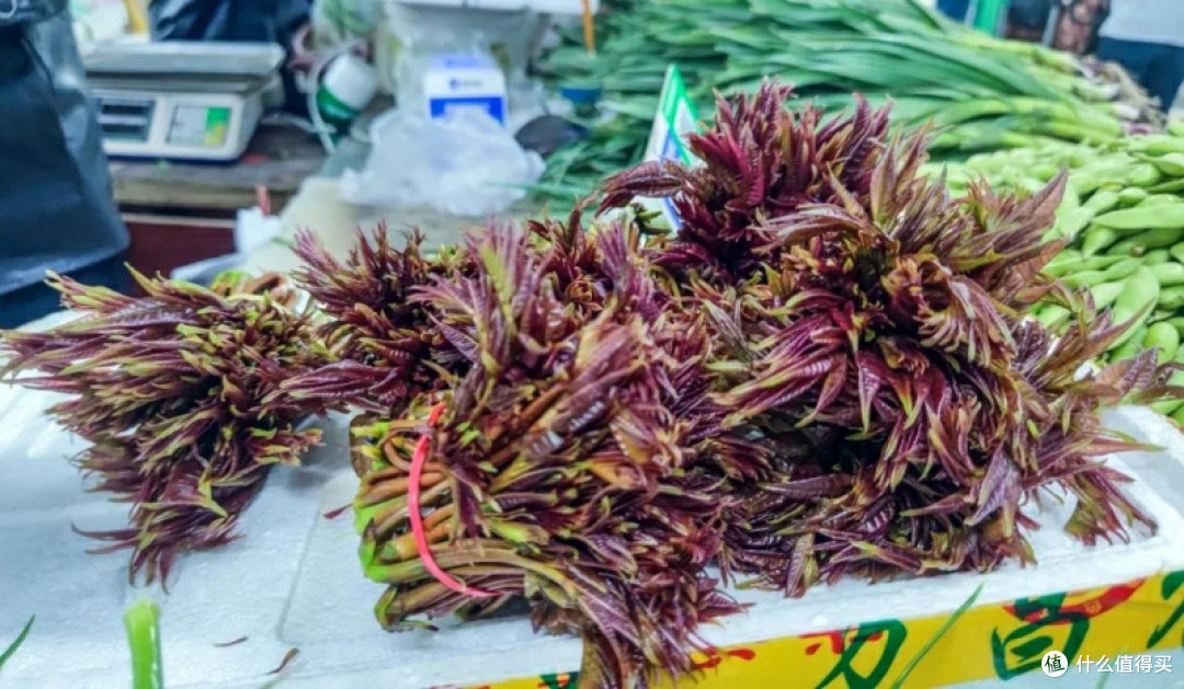 春天已至，人间正好——春日美食的滋味