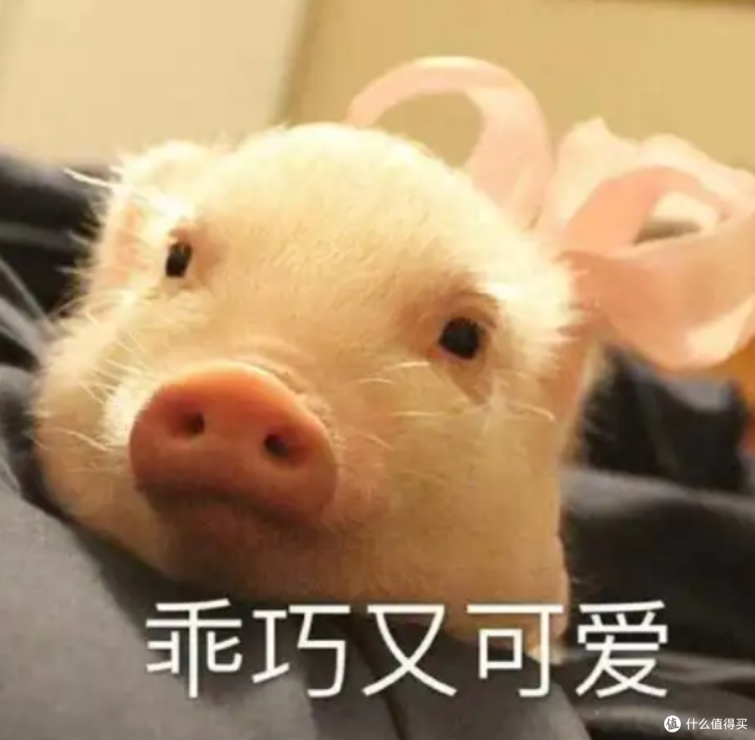 哪一款护发精油好用抚平毛躁?菲诗蔻咋样?护发精油排名推荐!