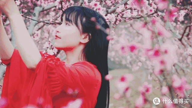 看过李子柒的小庭院,才发现它是多数人的“梦中情宅”,网友:对
