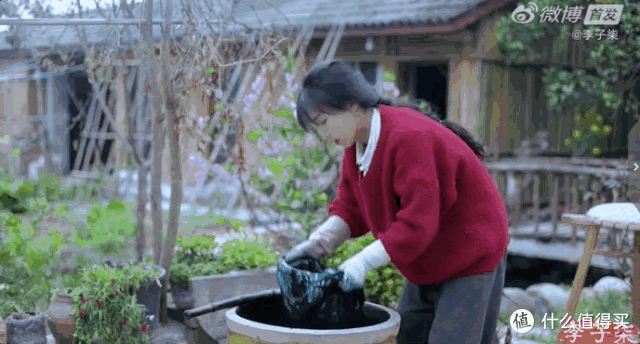 看过李子柒的小庭院,才发现它是多数人的“梦中情宅”,网友:对