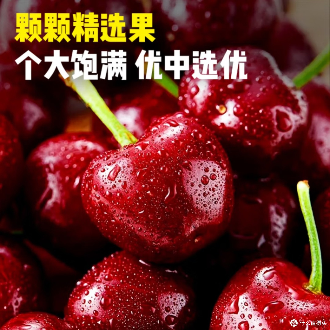 山东美早大樱桃3斤4J级