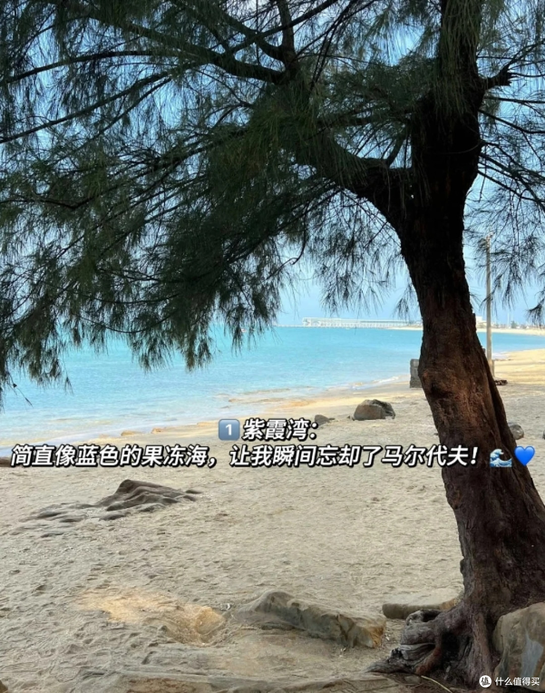 3-4月份是来北海旅游最美季节…